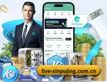 澳门新葡京娱乐 APP 深度功能